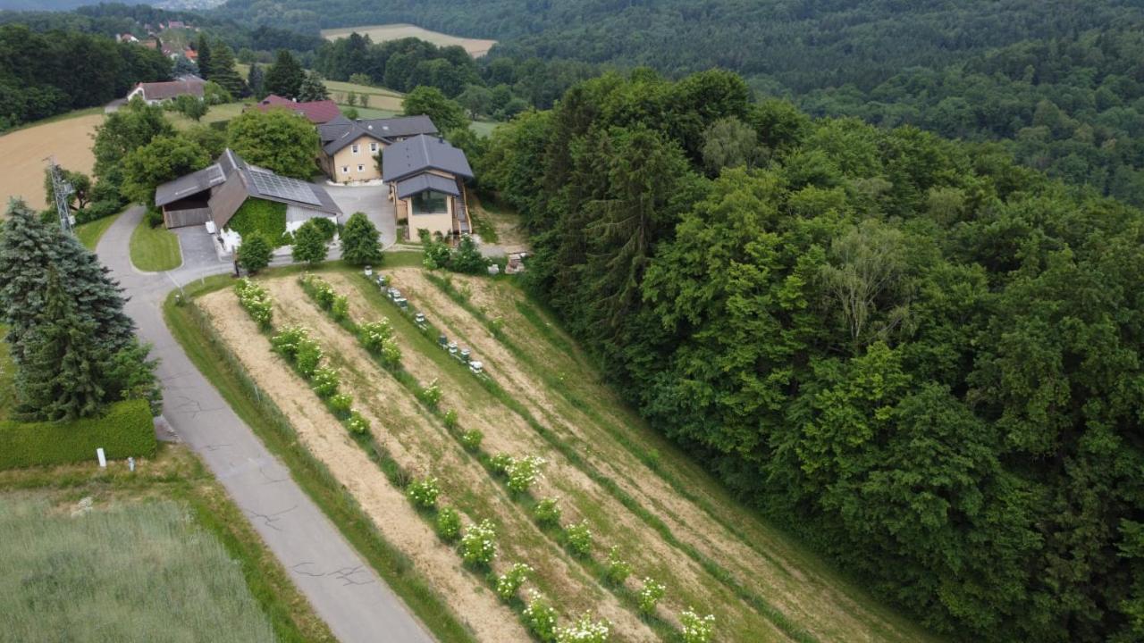 Beim Bergjosl Leilighet Kirchbach in Steiermark Eksteriør bilde