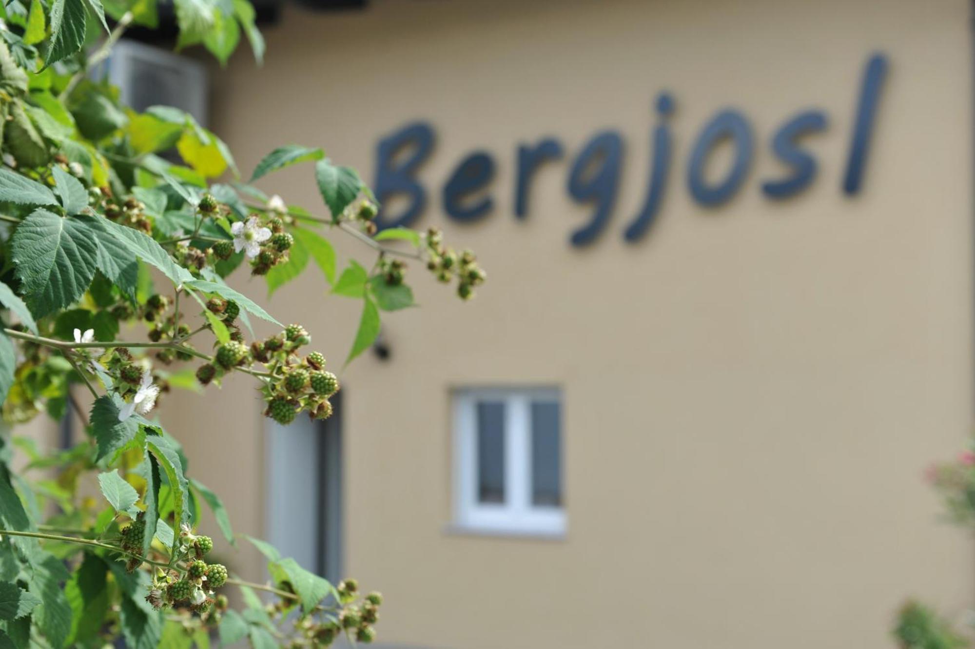 Beim Bergjosl Leilighet Kirchbach in Steiermark Eksteriør bilde
